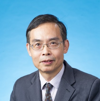 Chair Professor Min Xie
